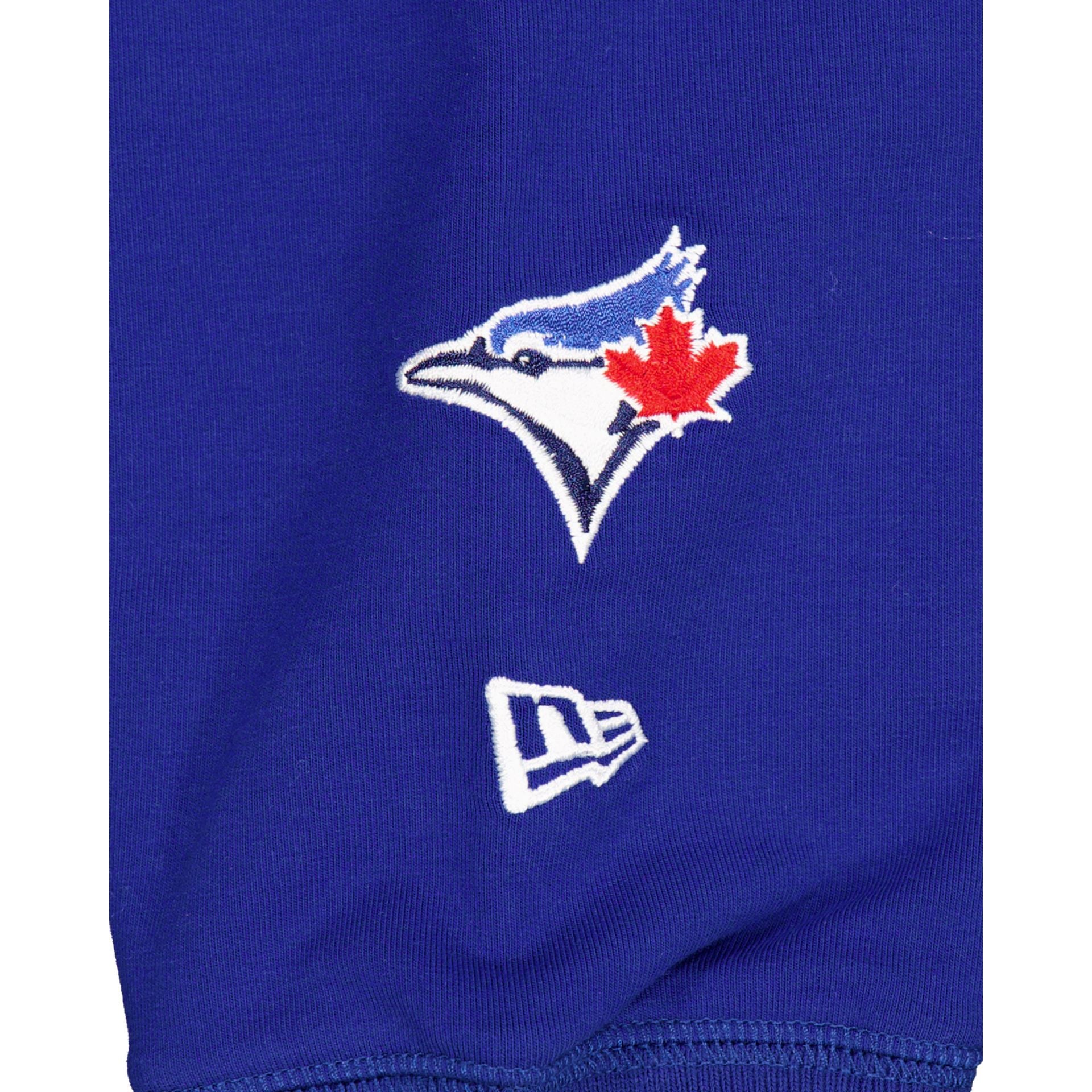 Toronto Blue Jays Team Color Logo Select Hoodie