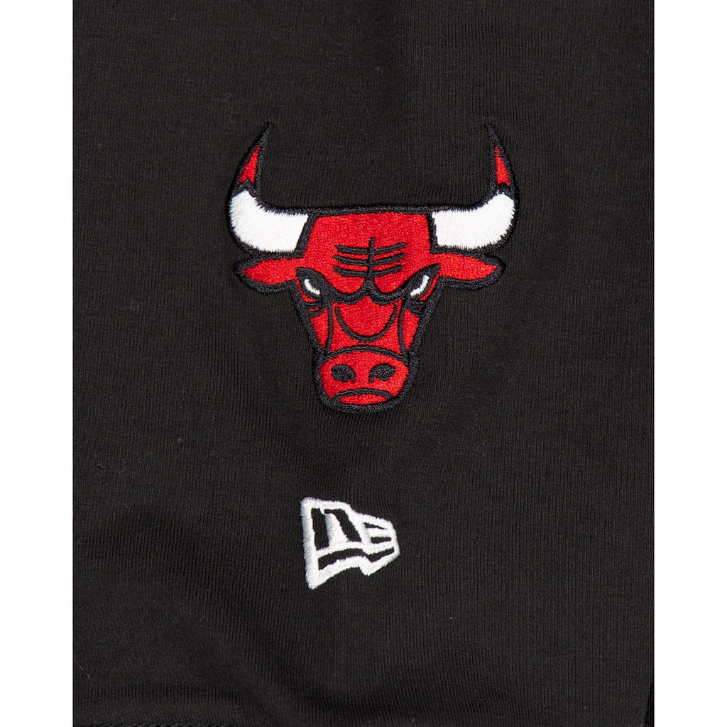 Chicago Bulls Team Color Logo Select Hoodie