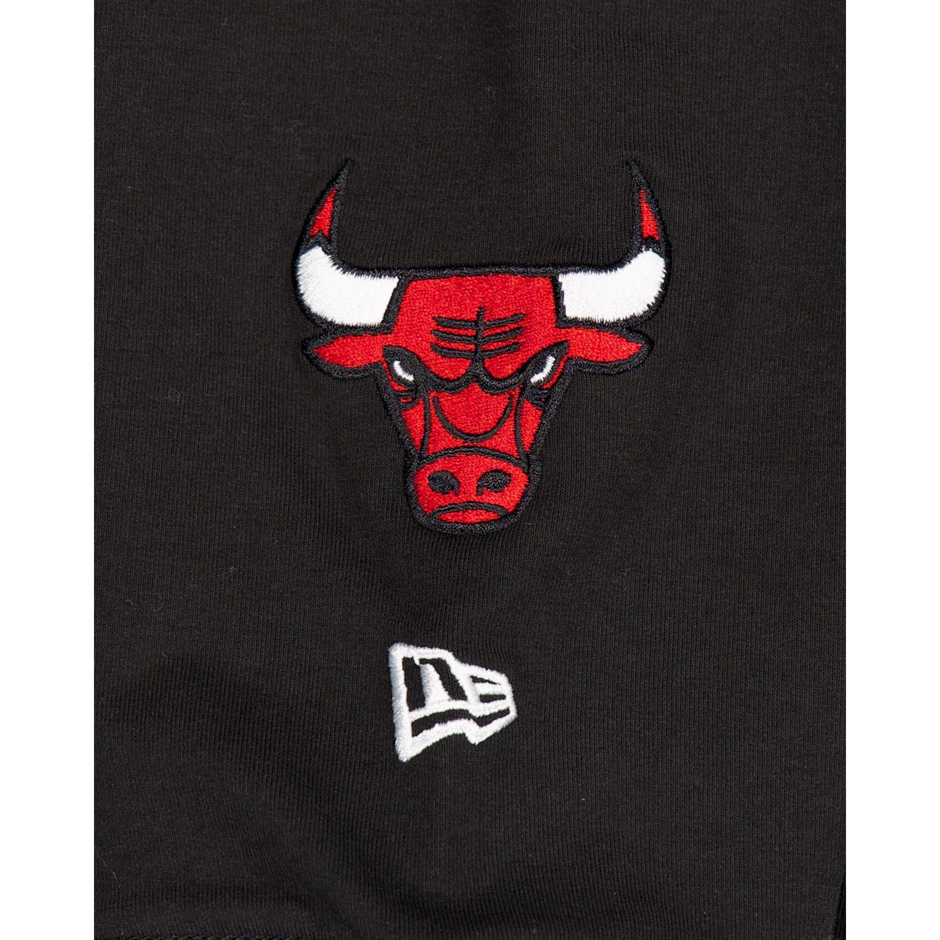 Chicago Bulls Team Color Logo Select Hoodie