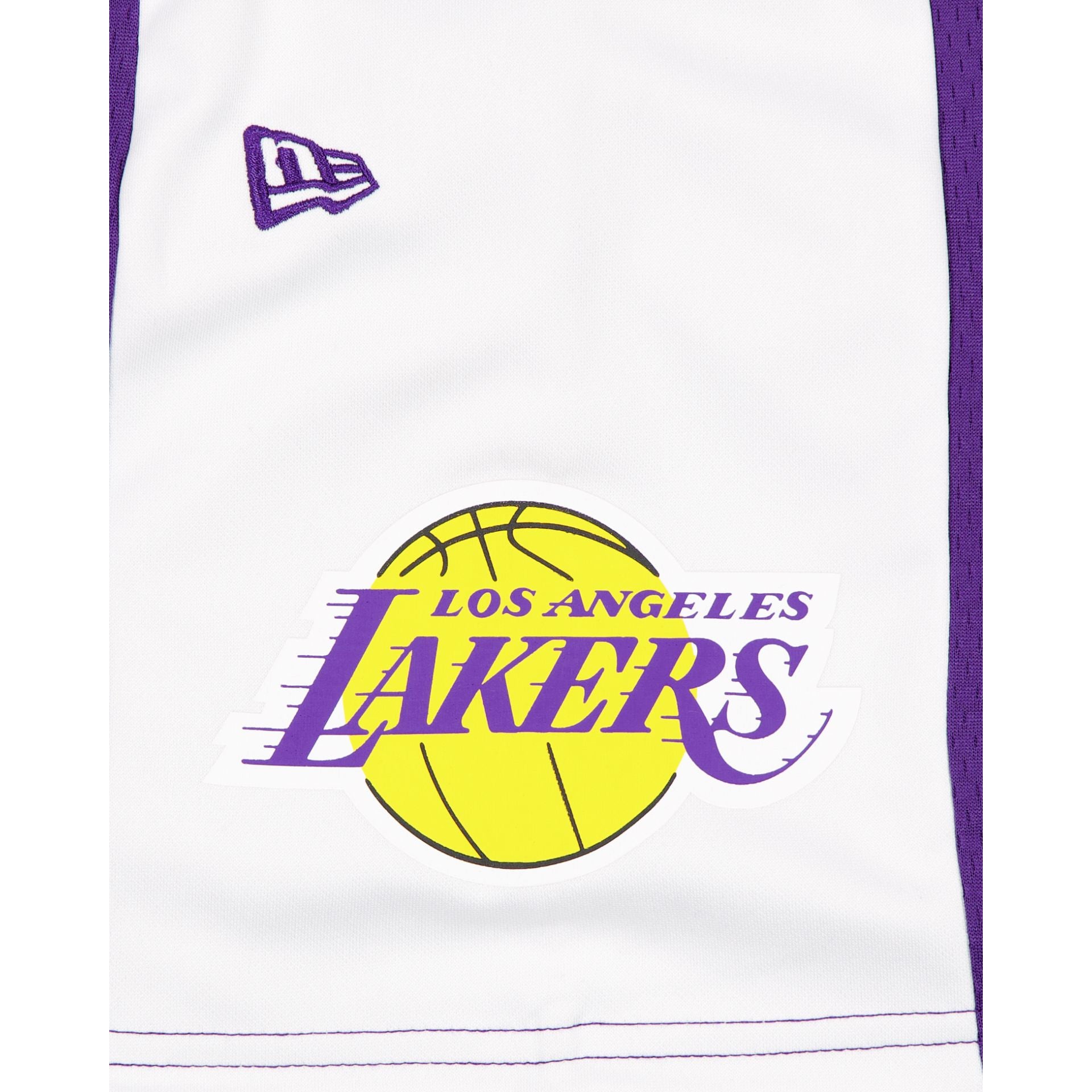 Los Angeles Lakers Purple Graphic Mesh Shorts