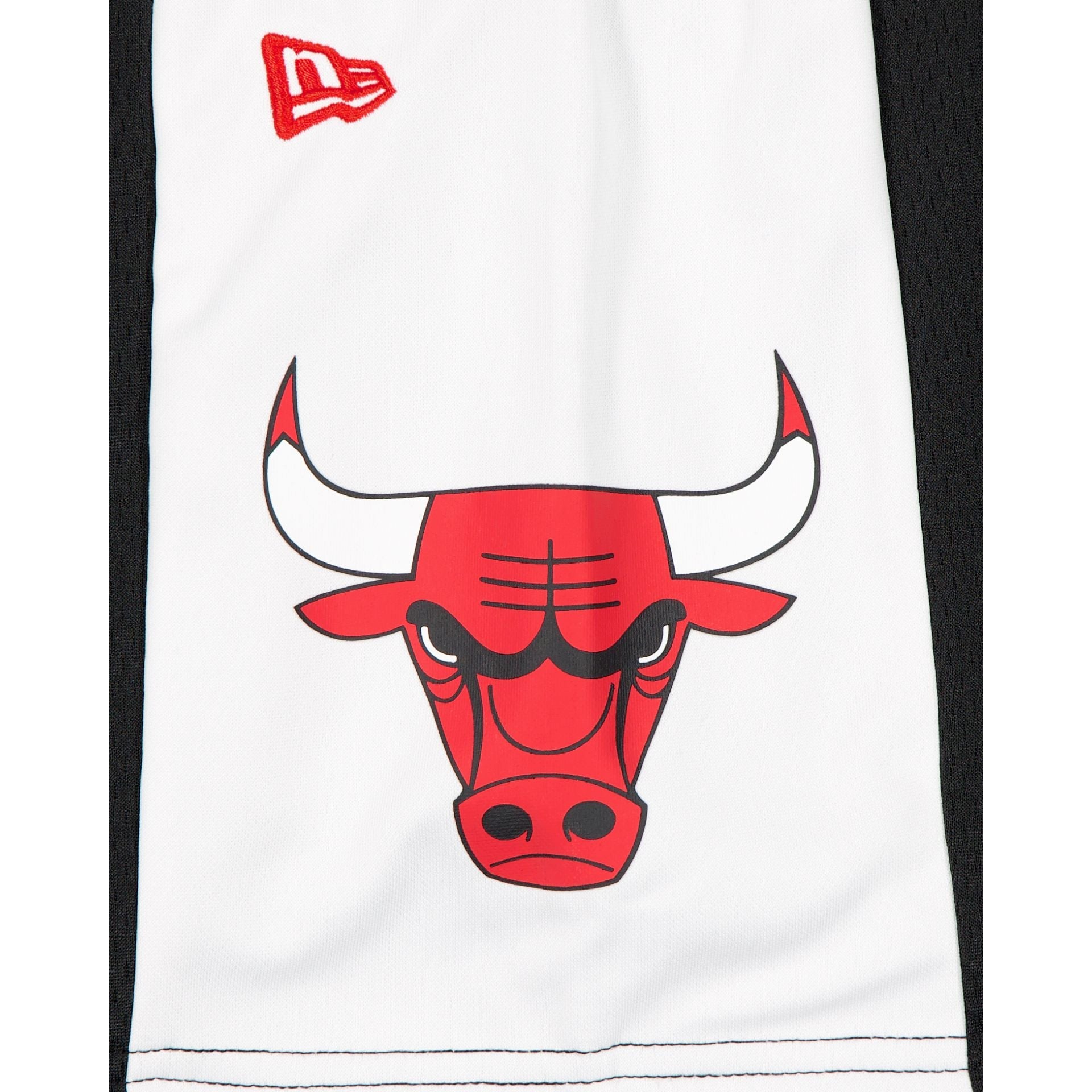 Chicago Bulls Black Graphic Mesh Shorts