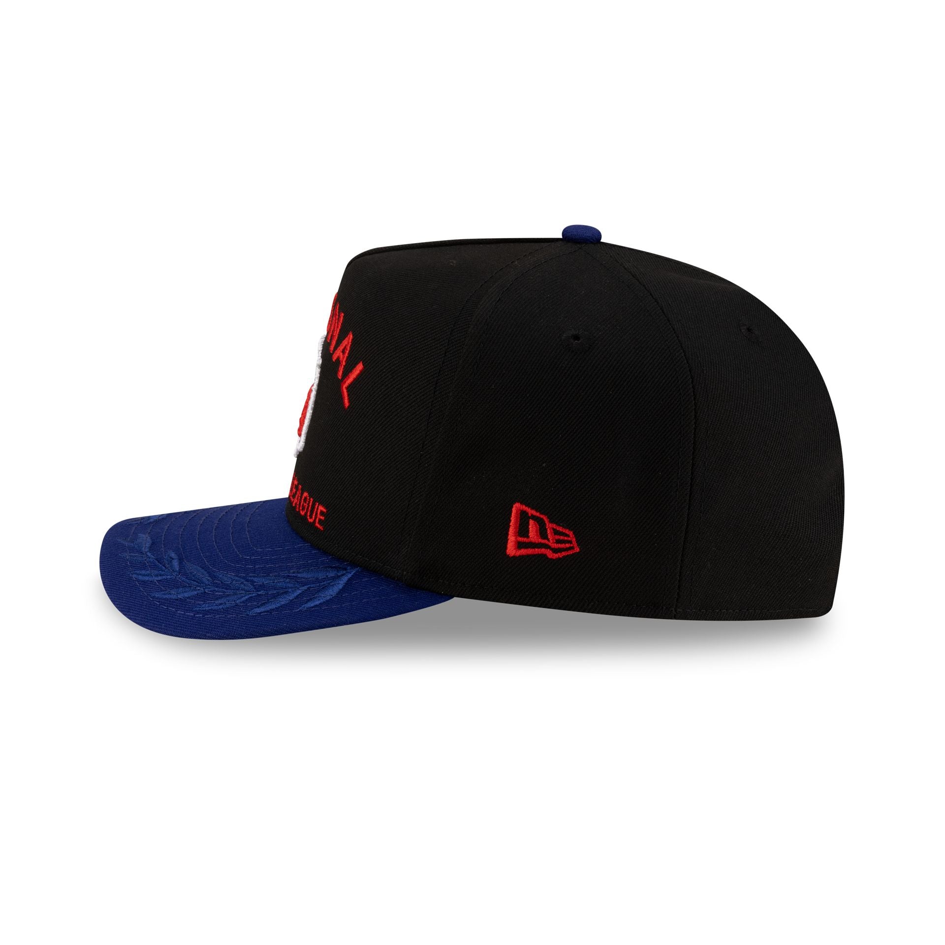 NFL 2025 Draft Golfer Hat