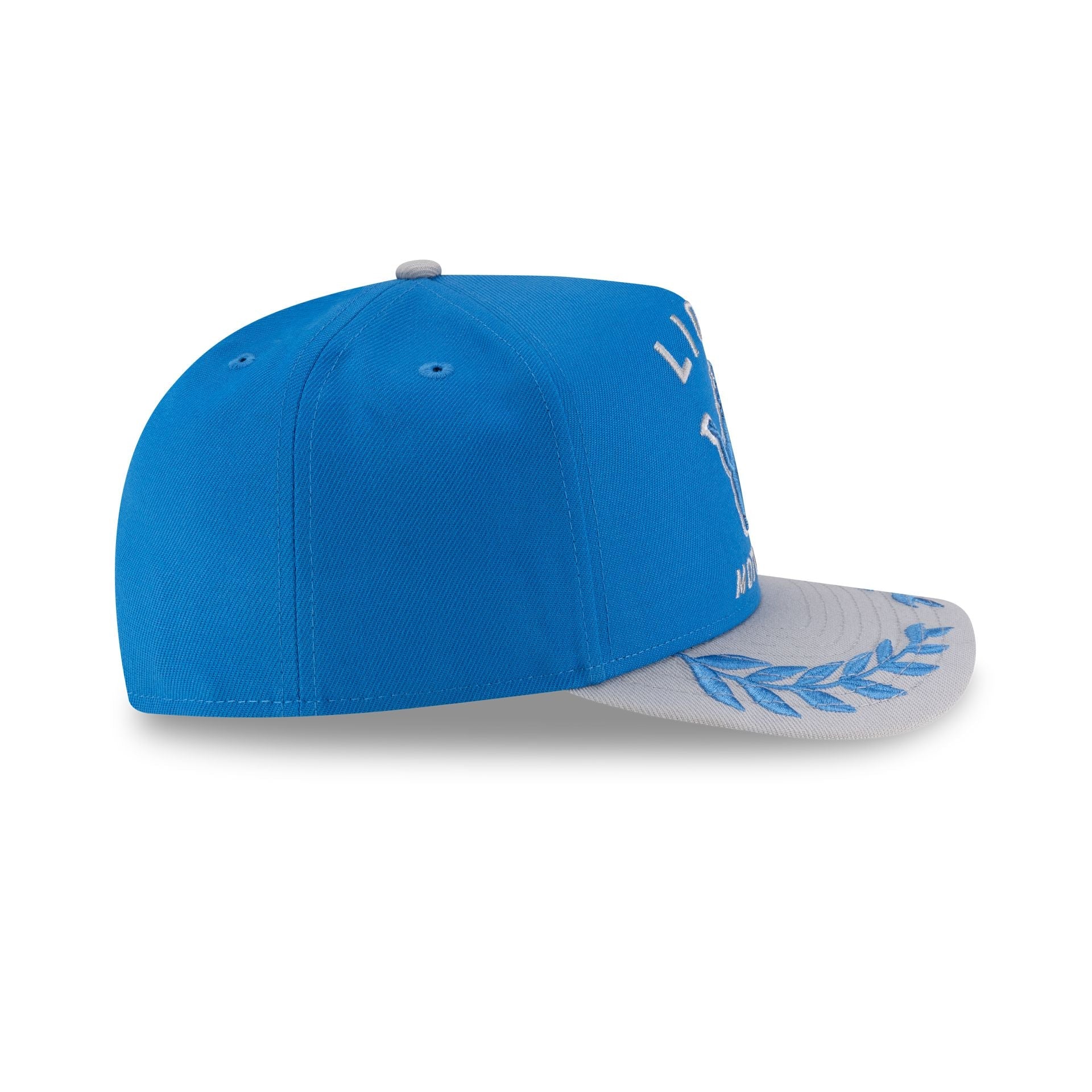 Detroit Lions 2025 Draft 59FIFTY A-Frame Fitted Hat