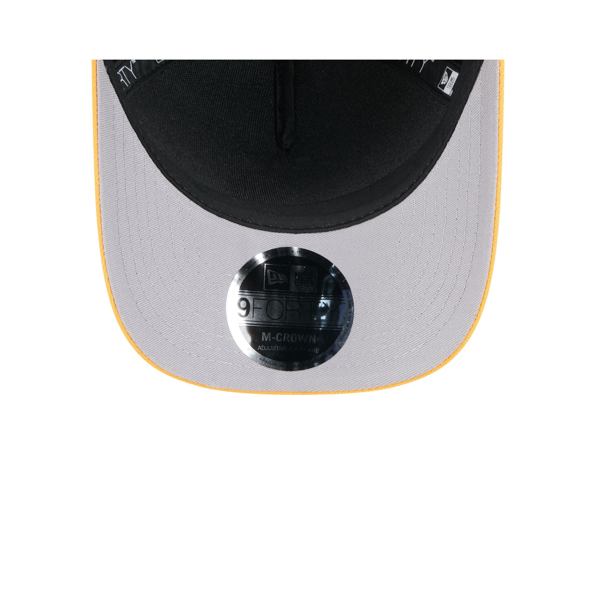 Pittsburgh Steelers 2025 Draft 9FORTY M-Crown A-Frame Snapback Hat